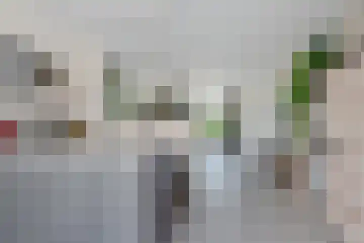 Kinderbalk 40 Hoorn thumbnail 8