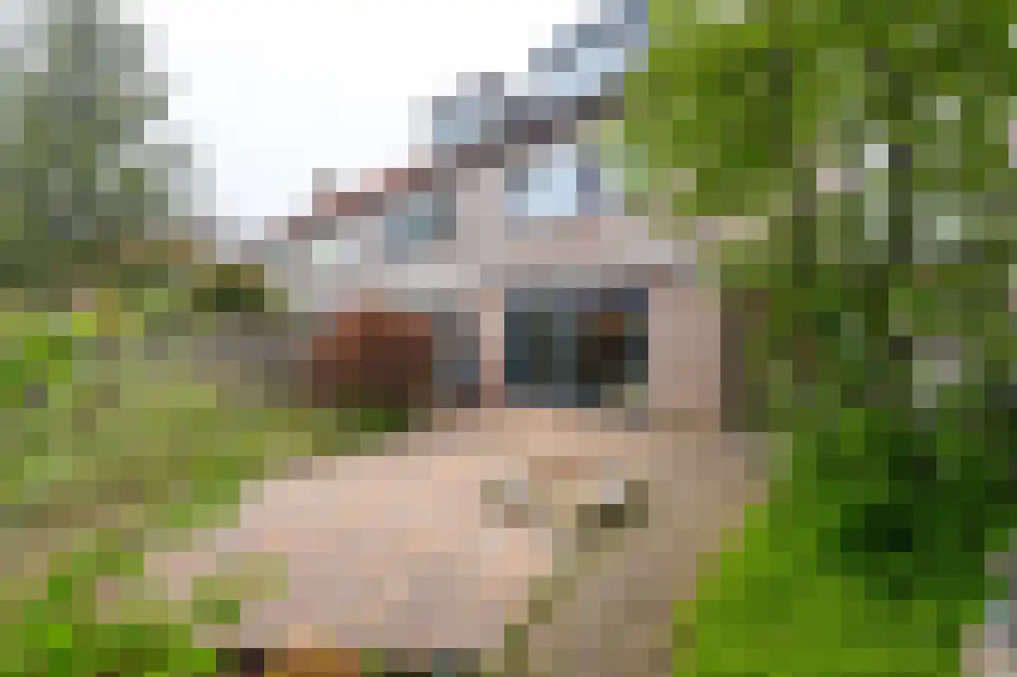 Kinderbalk 7 Hoorn thumbnail 25