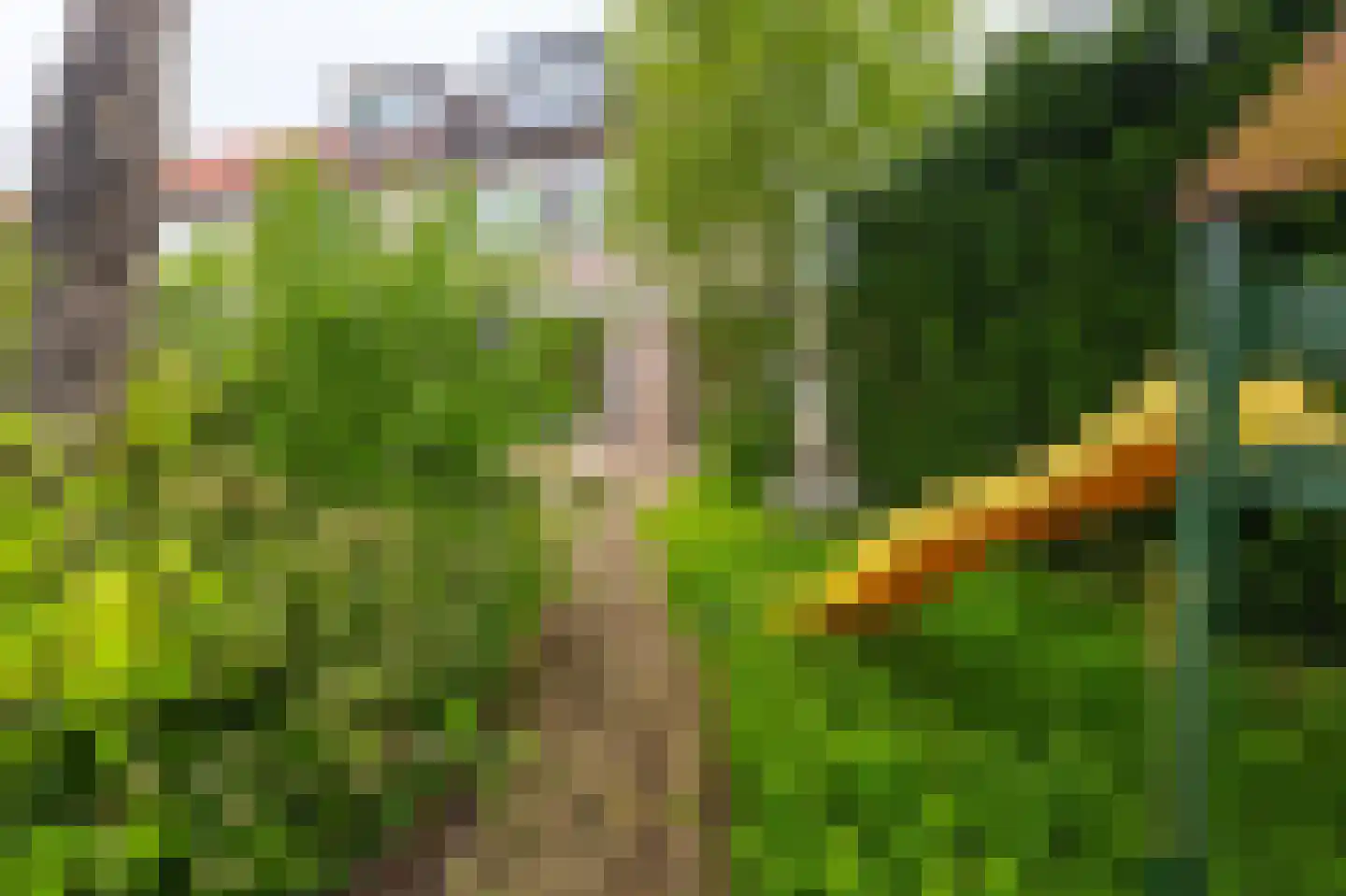 Kinderbalk 7 Hoorn thumbnail 26