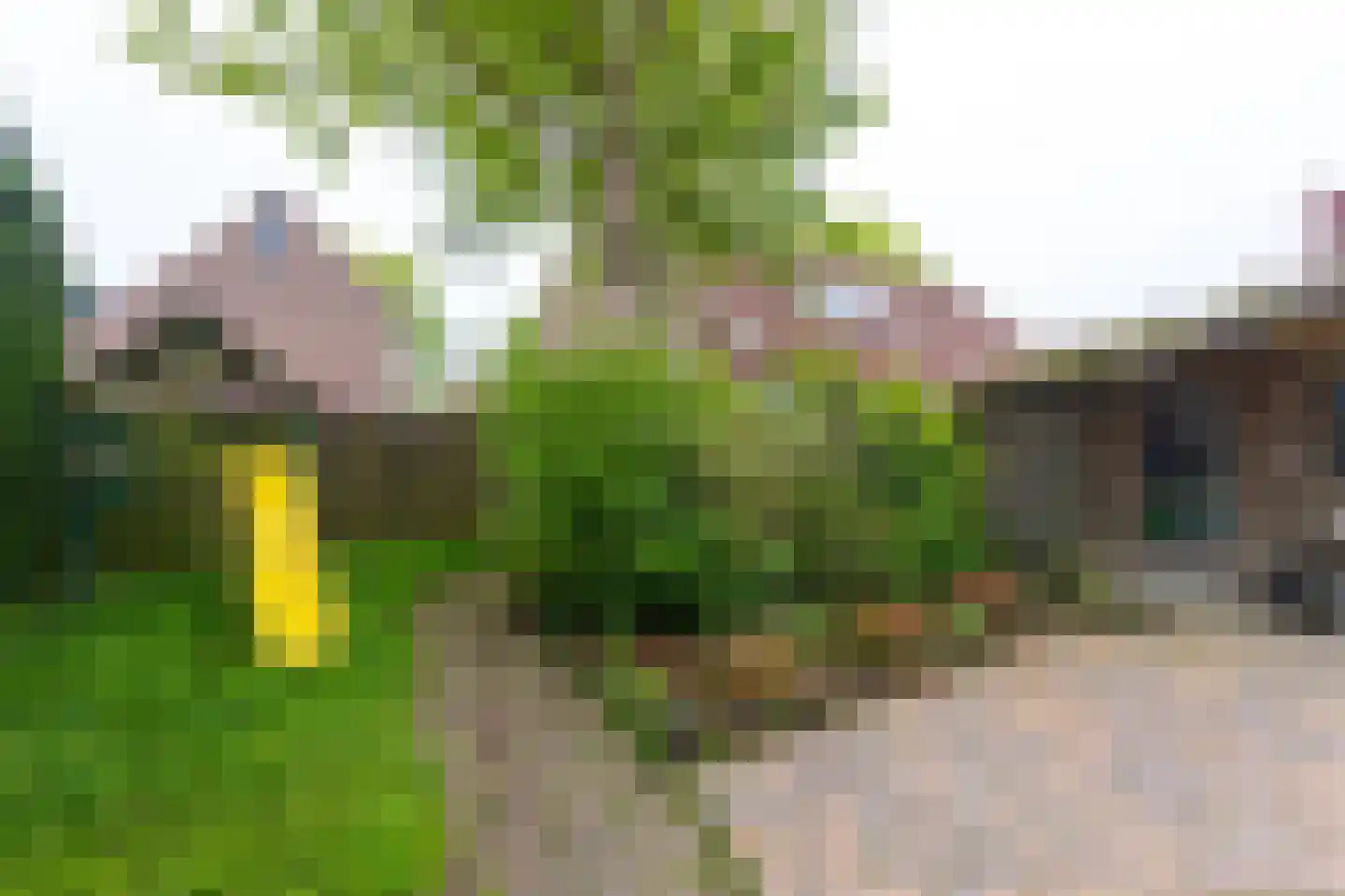 Kinderbalk 7 Hoorn thumbnail 27