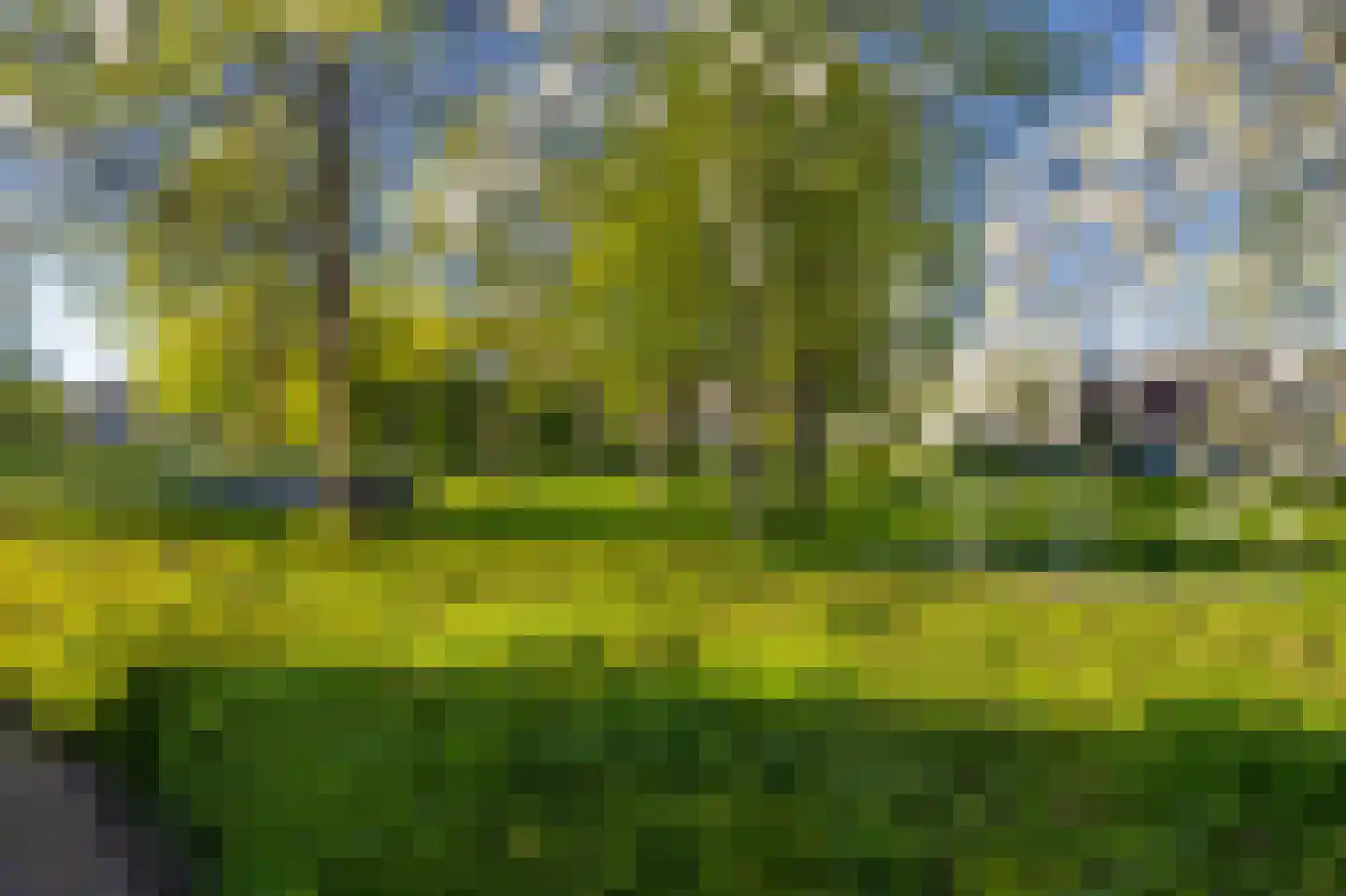 Kinderbalk 7 Hoorn thumbnail 44