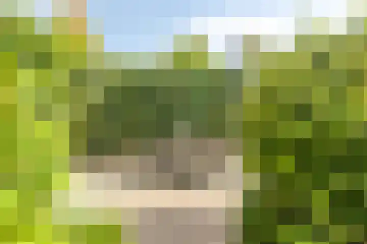 Kinderdijkstraat 91 Tilburg thumbnail 31