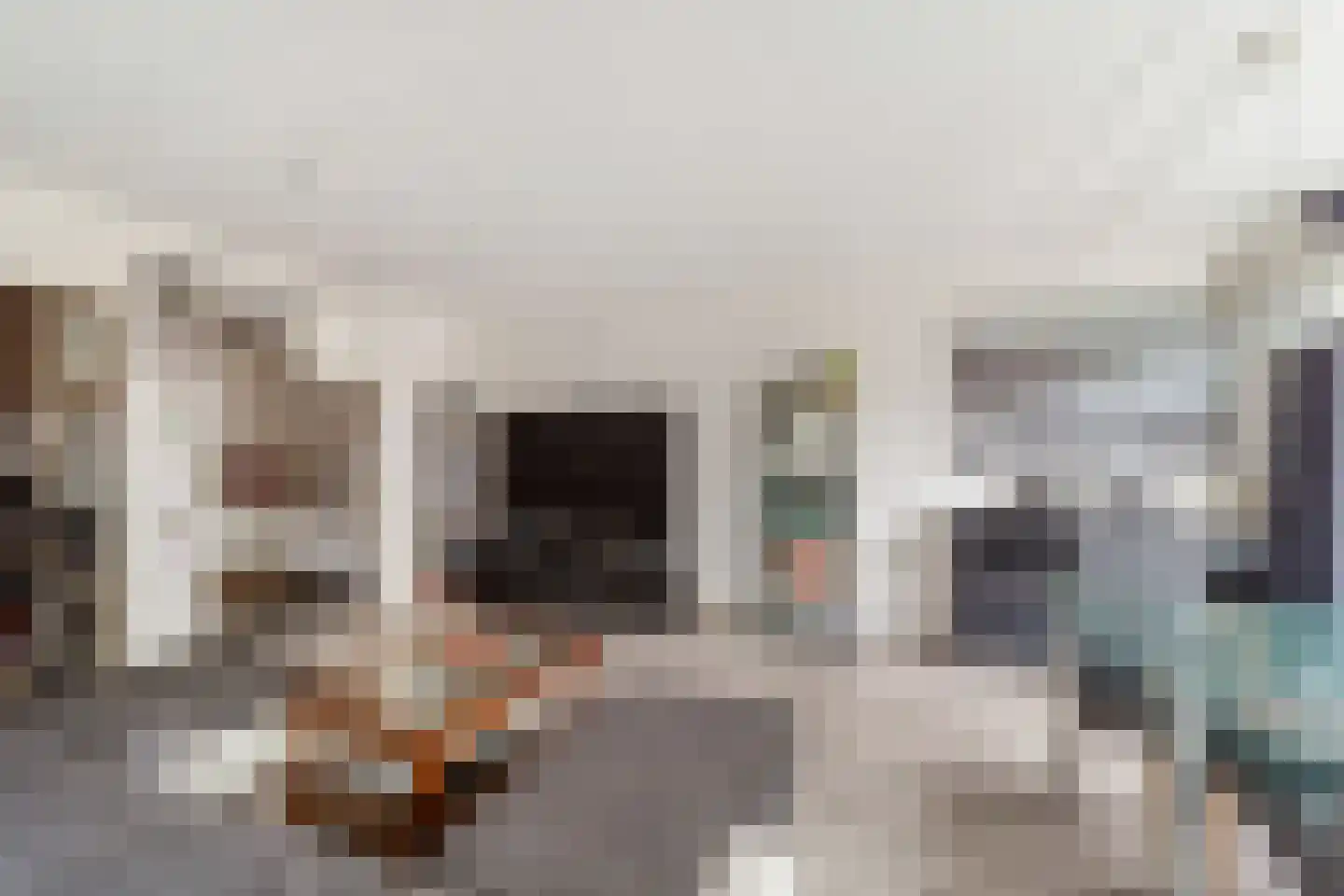 Kinderen van Versteegplein 21 Zoetermeer thumbnail 12