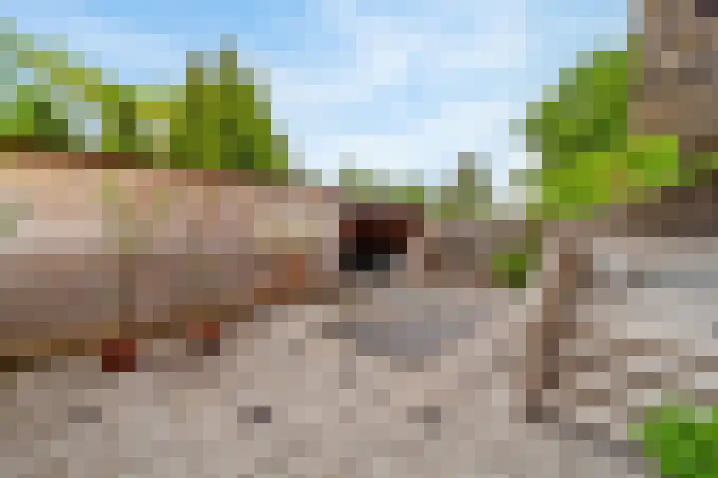 Kinderen van Versteegplein 21 Zoetermeer thumbnail 5