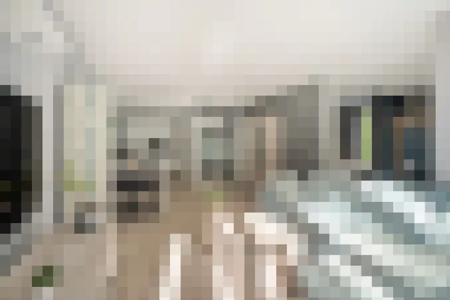 Kinderen van Versteegplein 35 Zoetermeer thumbnail 13