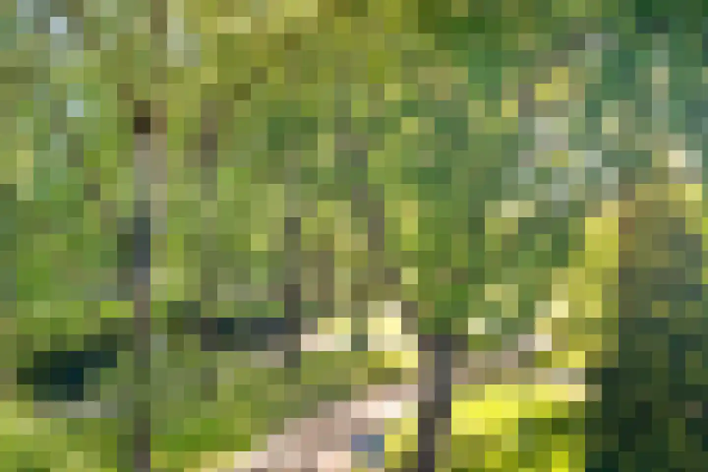 Kinderen van Versteegplein 35 Zoetermeer thumbnail 28