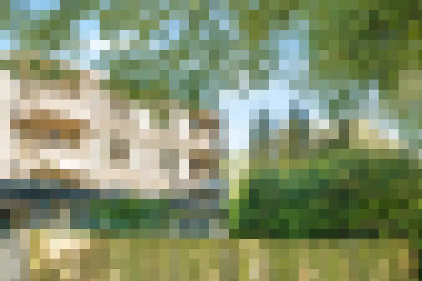 Kinderen van Versteegplein 35 Zoetermeer thumbnail 39