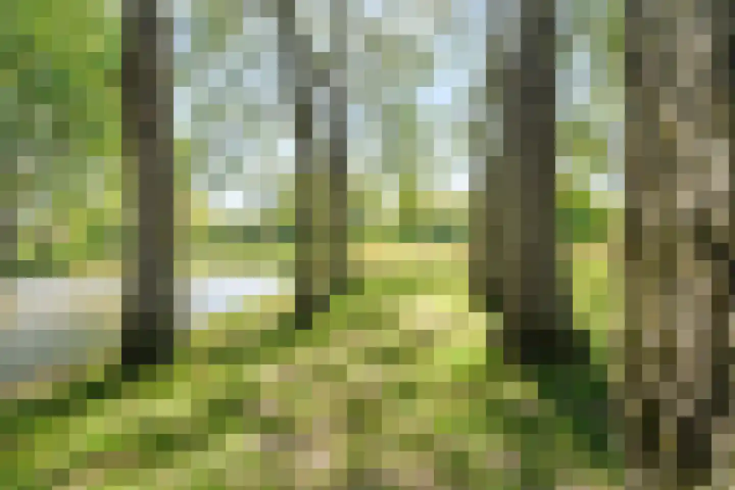 Kinderen van Versteegplein 35 Zoetermeer thumbnail 44