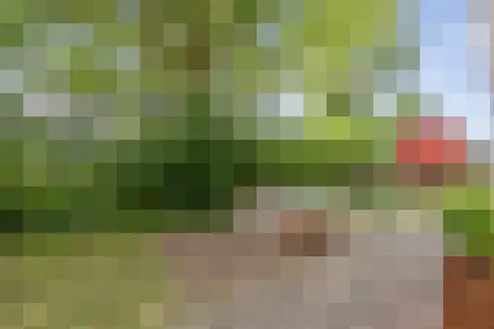 Kinderhuissingel 2 B Haarlem thumbnail 24