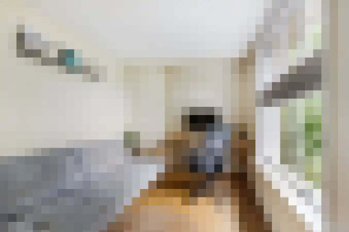 Kinderhuissingel 2 C 2 Haarlem thumbnail 14