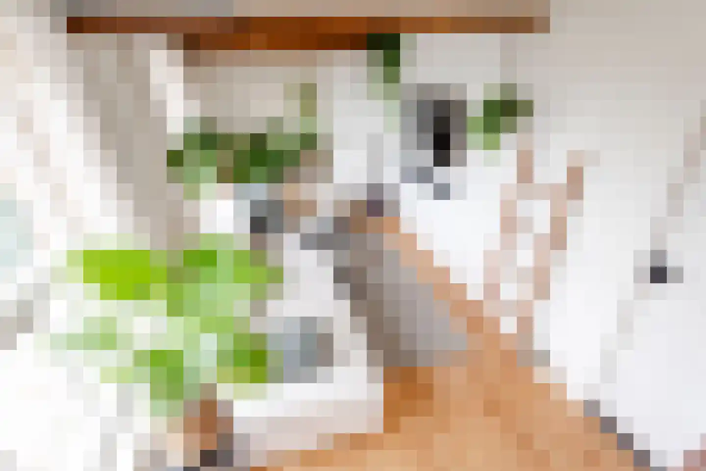 Kinderhuissingel 2 C 2 Haarlem thumbnail 20
