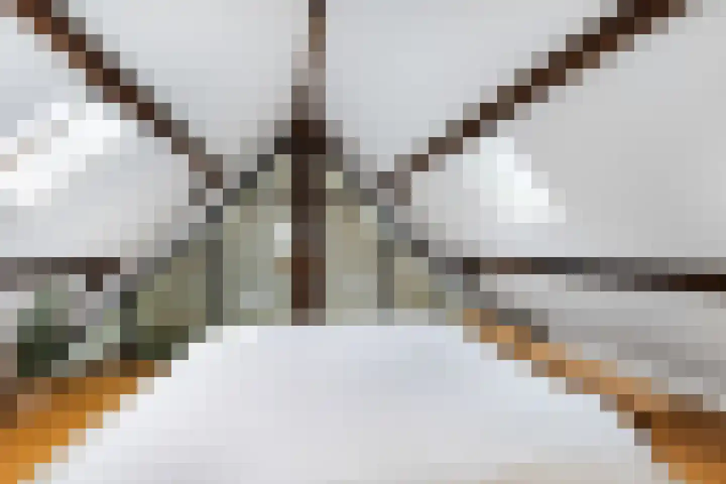 Kinderhuissingel 2 C 2 Haarlem thumbnail 30