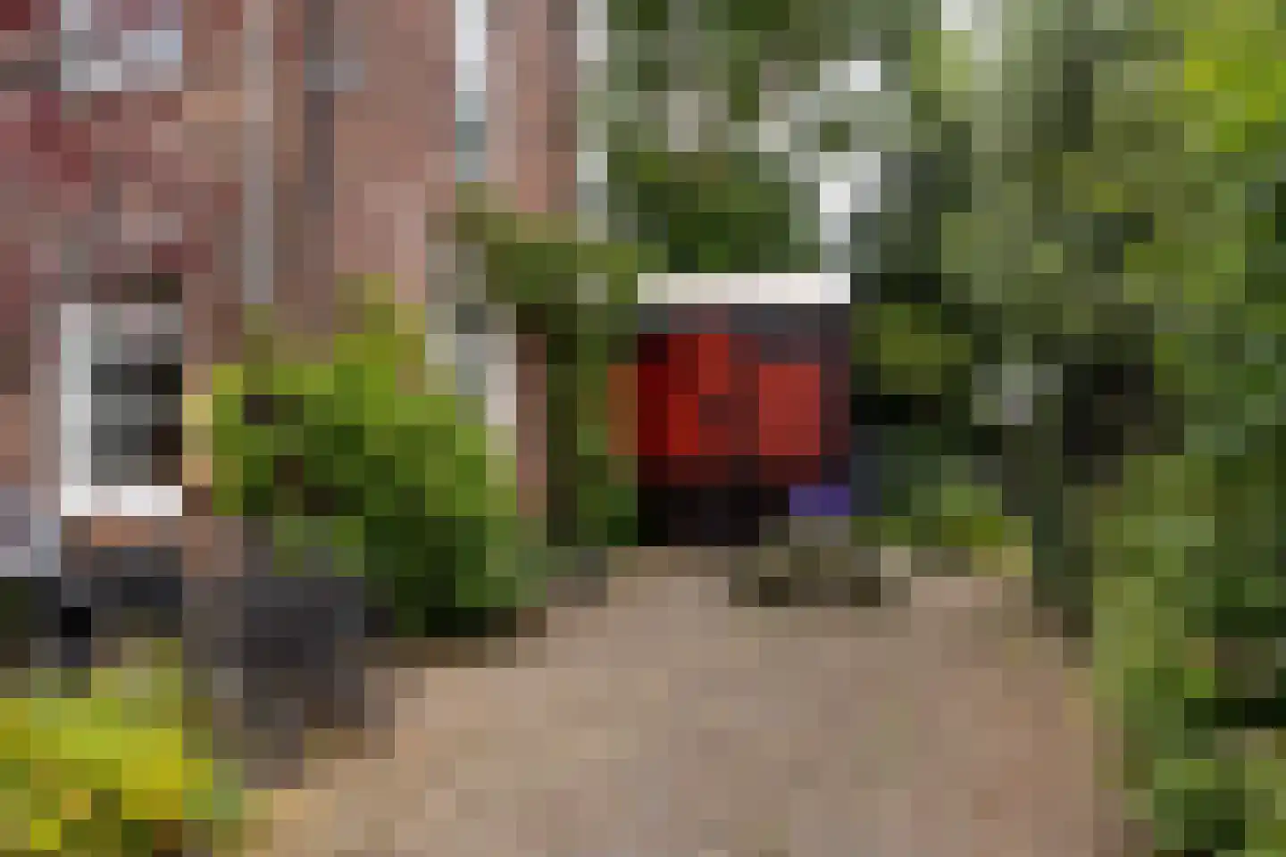 Kinderhuissingel 2 C 2 Haarlem thumbnail 36