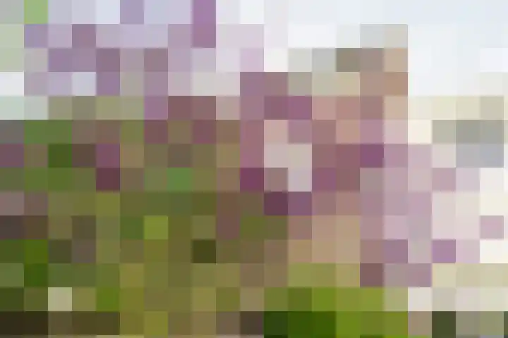 Kinderhuissingel 42 Haarlem thumbnail 5