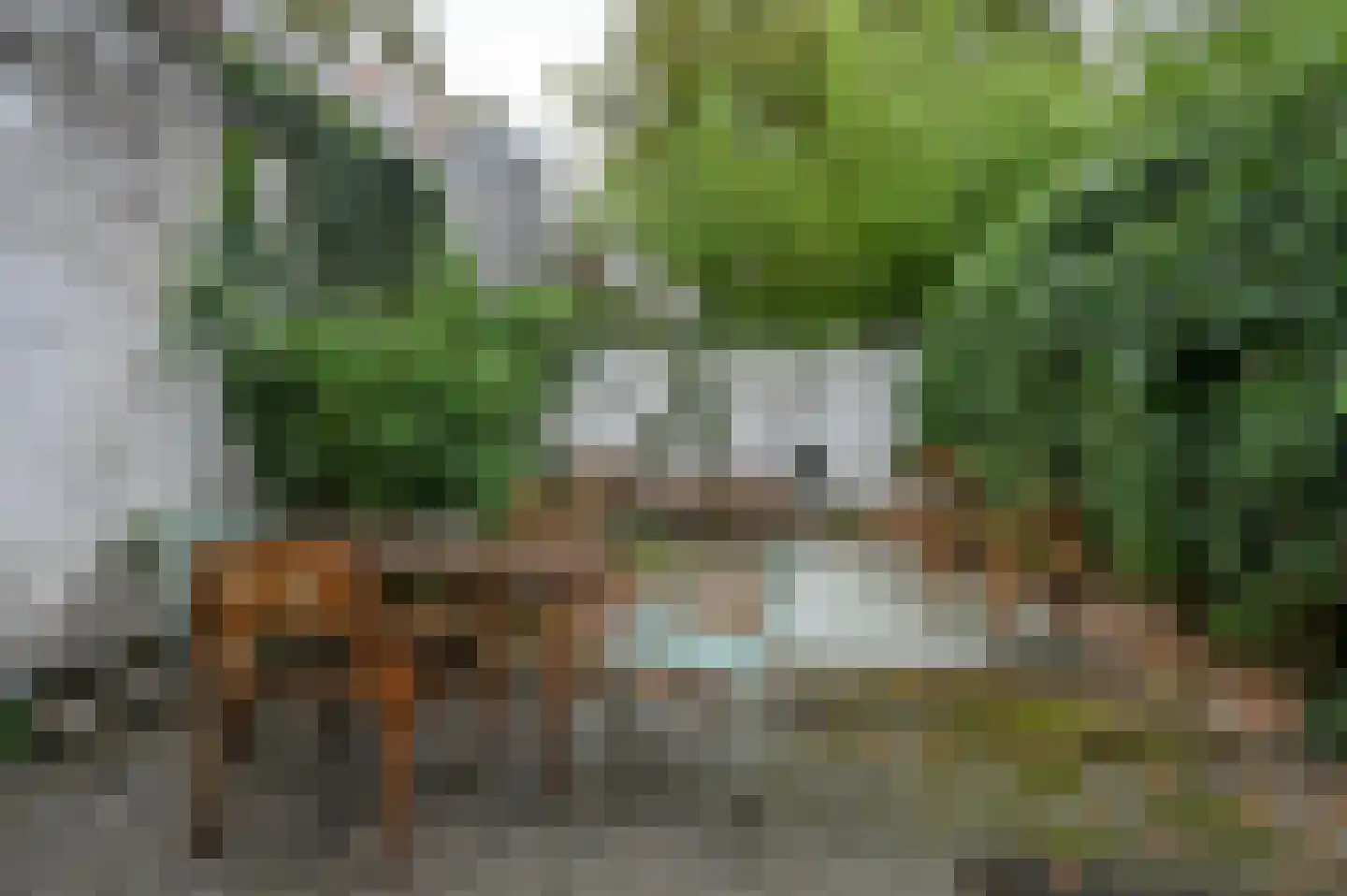 Kinderhuisvest 39 Haarlem thumbnail 15