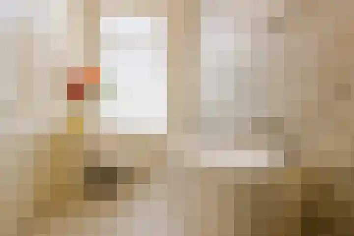 Kinderhuisvest 49 Haarlem thumbnail 10