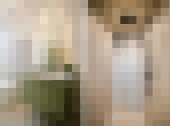 Kinderhuisvest 49 Haarlem thumbnail 11