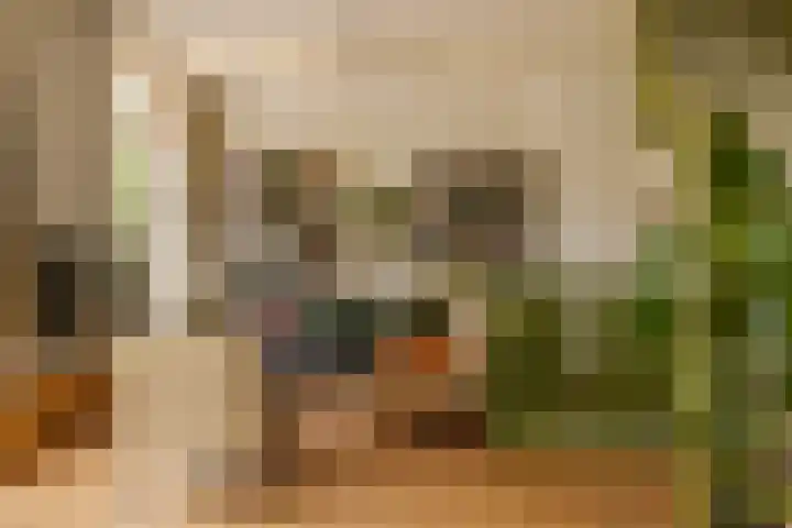 Kinderhuisvest 49 Haarlem thumbnail 18