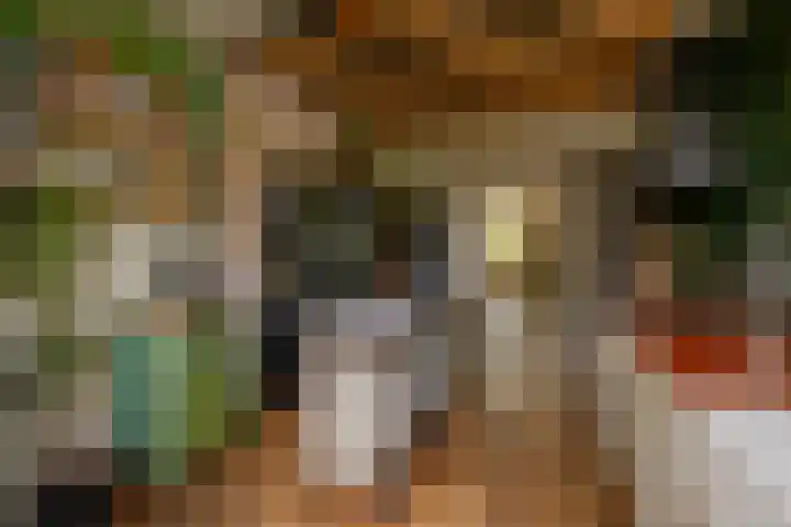 Kinderhuisvest 49 Haarlem thumbnail 19