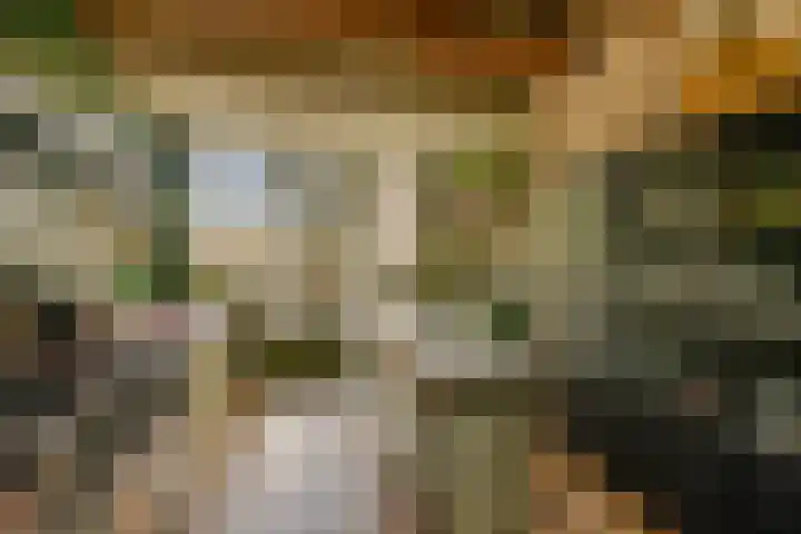 Kinderhuisvest 49 Haarlem thumbnail 21