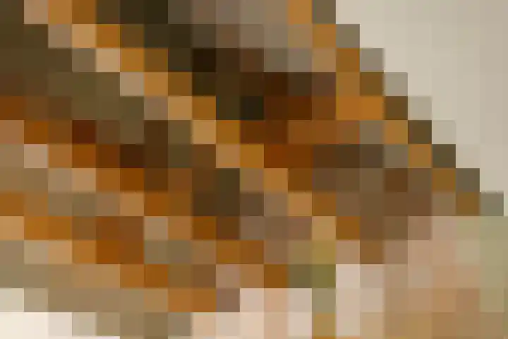Kinderhuisvest 49 Haarlem thumbnail 22