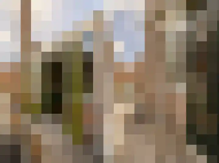 Kinderhuisvest 49 Haarlem thumbnail 28