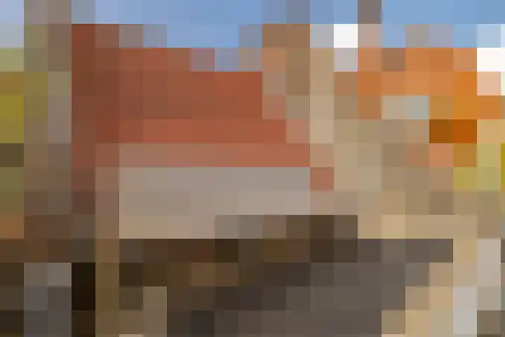 Kinderhuisvest 49 Haarlem thumbnail 29