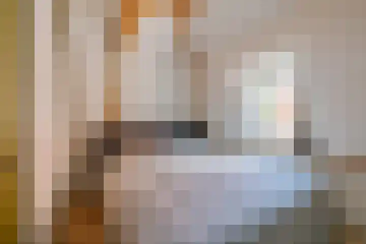 Kinderhuisvest 49 Haarlem thumbnail 31