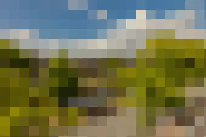Kinderhuisvest 49 Haarlem thumbnail 39