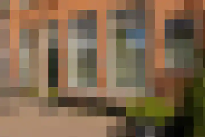 Kinderhuisvest 49 Haarlem thumbnail 4