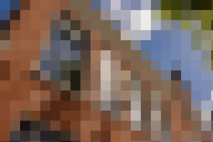 Kinderhuisvest 49 Haarlem thumbnail 47