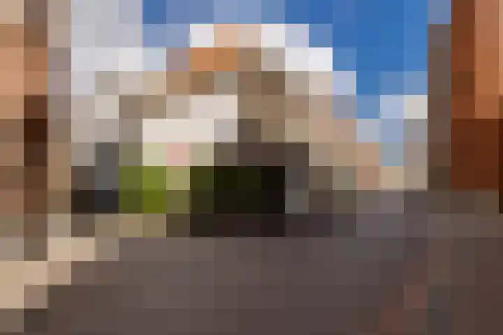 Kinderhuisvest 49 Haarlem thumbnail 48