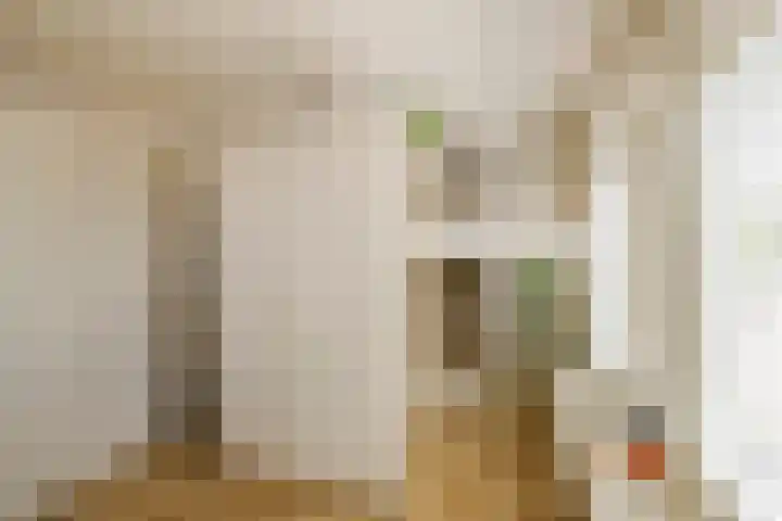 Kinderhuisvest 49 Haarlem thumbnail 5