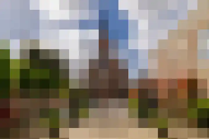 Kinderhuisvest 49 Haarlem thumbnail 51