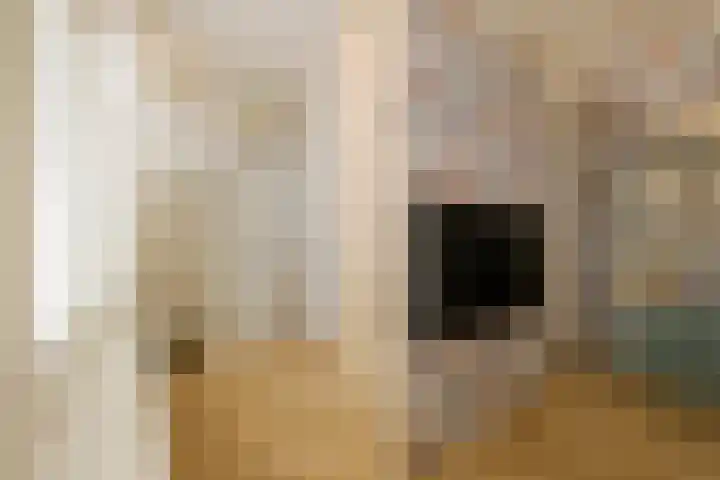 Kinderhuisvest 49 Haarlem thumbnail 7