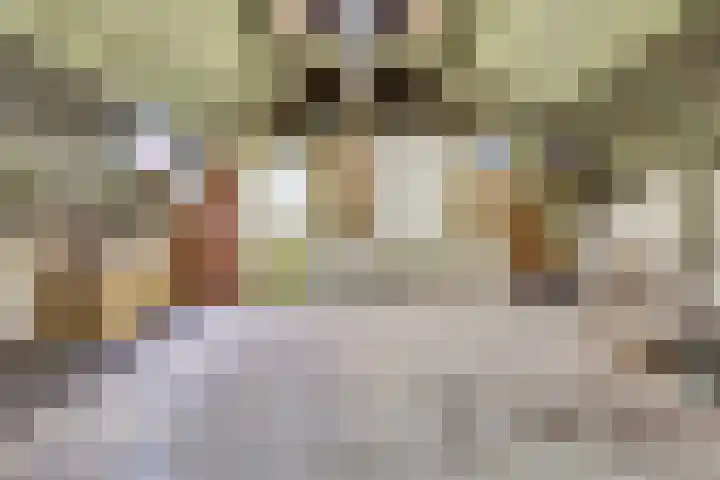 Kinderstraat 8 Zierikzee thumbnail 8