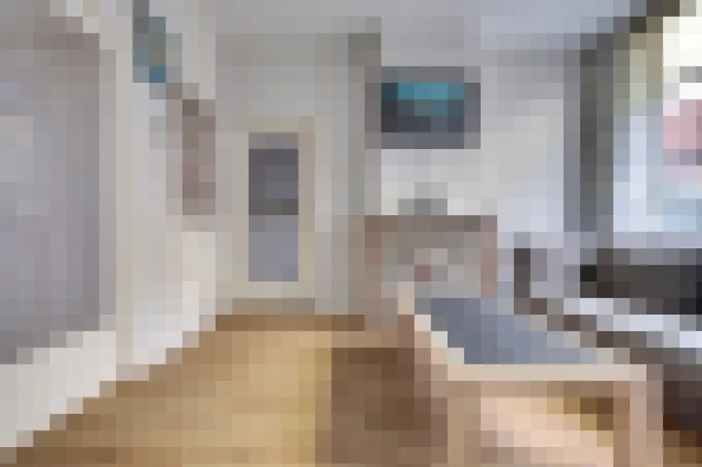 Kinderstraat 9 Zierikzee thumbnail 8