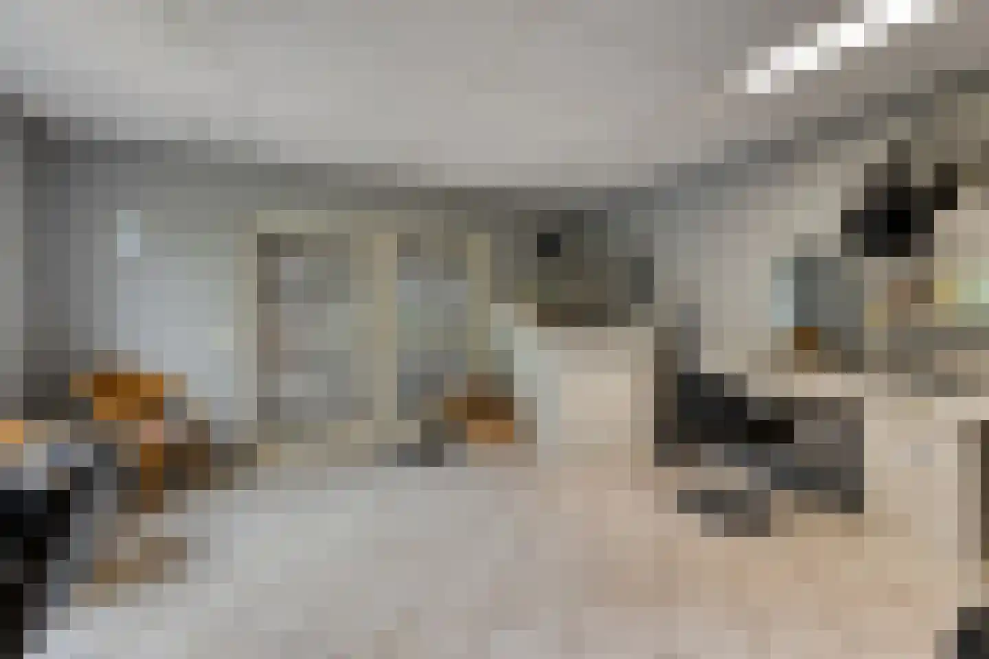 Kinderstraatje 1 Lepelstraat thumbnail 22