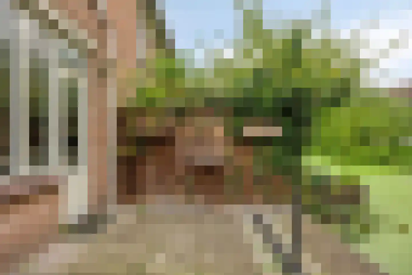 King Olivereiland 32 Den Haag thumbnail 4