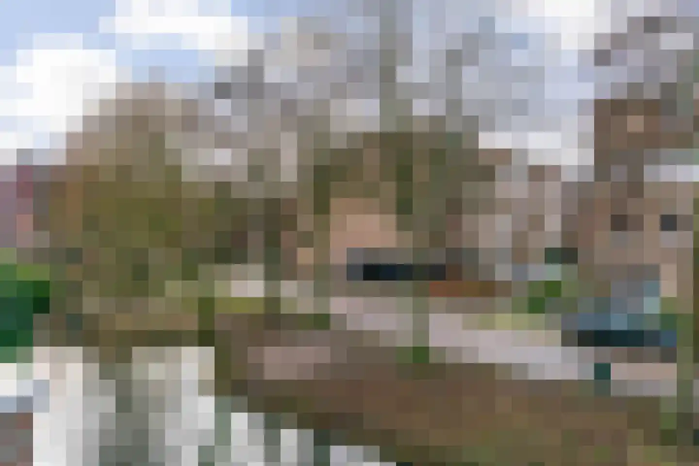 King Olivereiland 4 Den Haag thumbnail 25