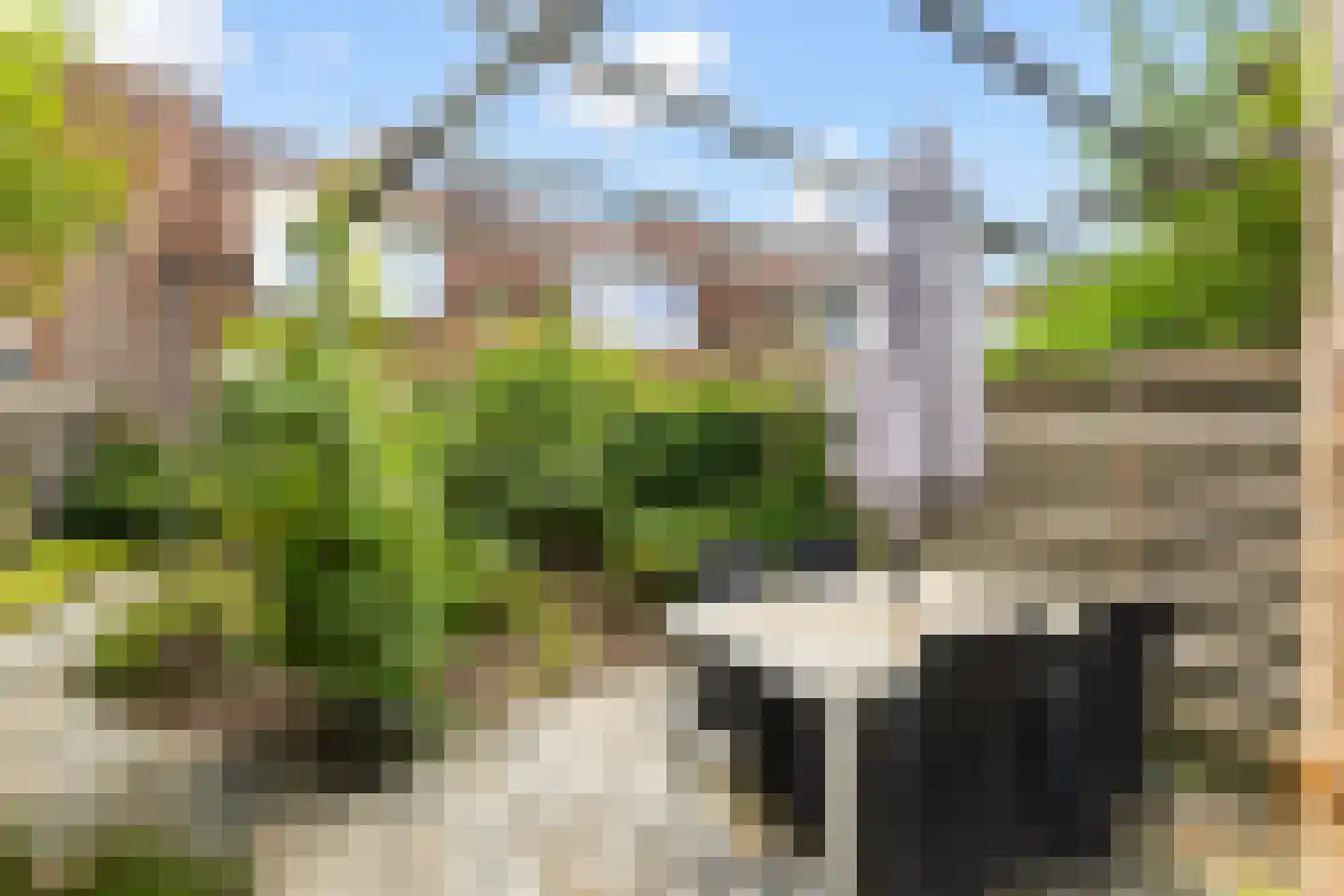 Kingmastate 148 Leeuwarden thumbnail 4