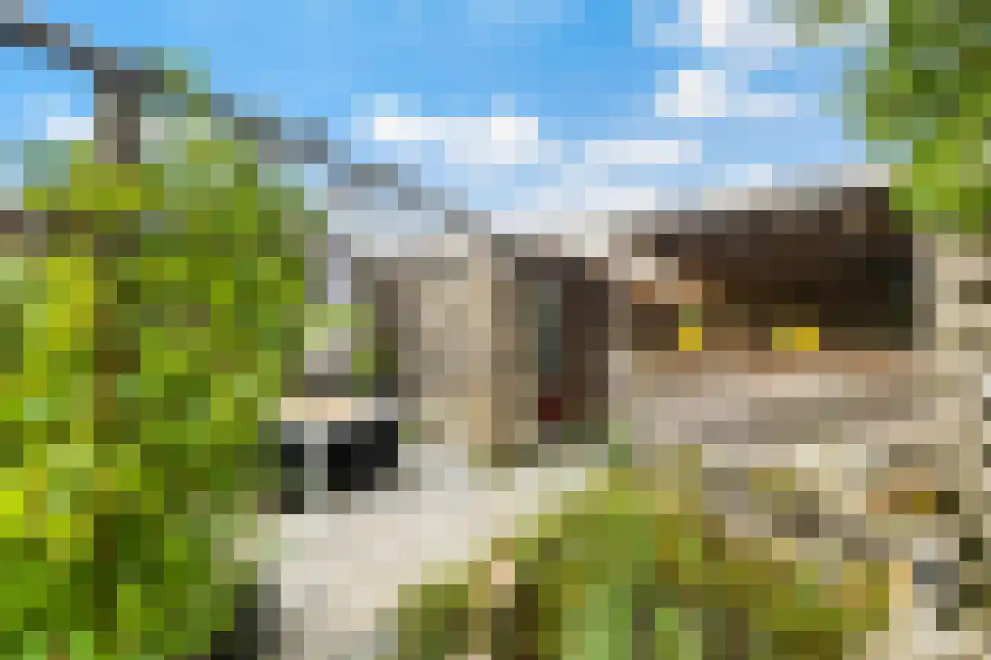 Kingmastate 148 Leeuwarden thumbnail 6
