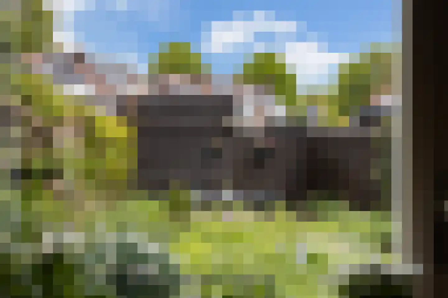 Kingmastate 34 Leeuwarden thumbnail 10