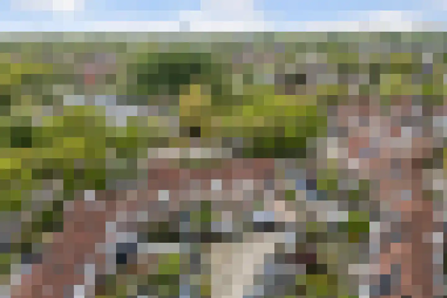 Kingmastate 34 Leeuwarden thumbnail 11