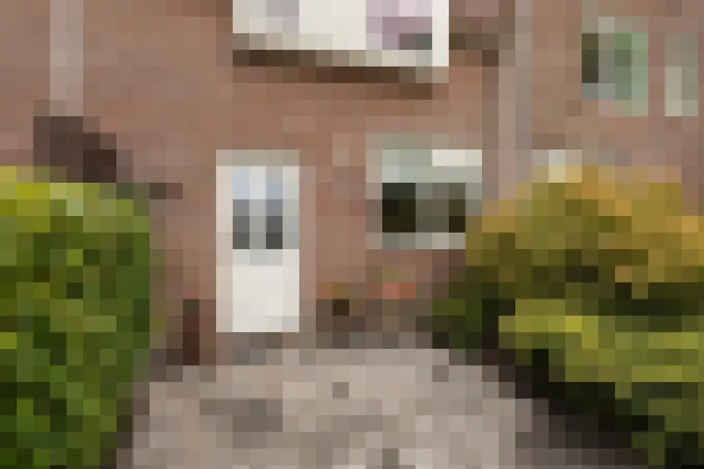 Kingmastate 34 Leeuwarden thumbnail 13