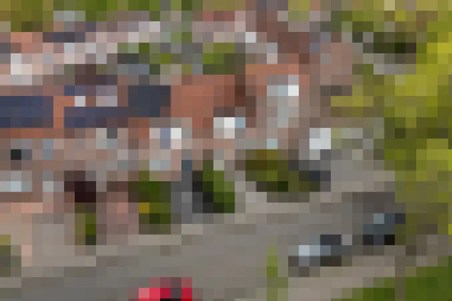Kingmastate 34 Leeuwarden thumbnail 4