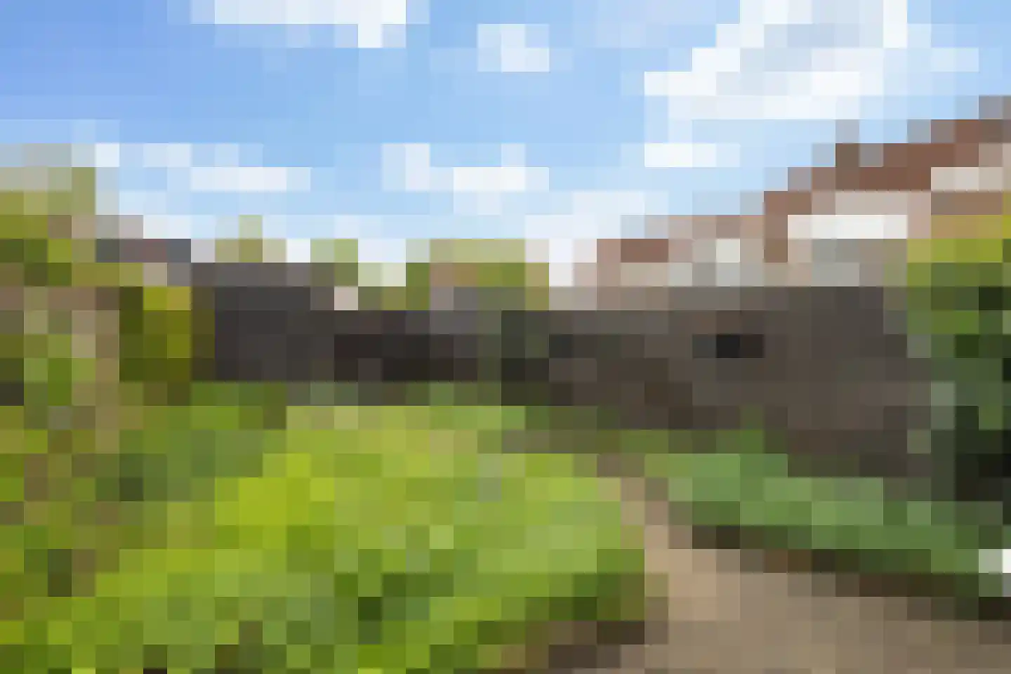 Kingmastate 34 Leeuwarden thumbnail 8