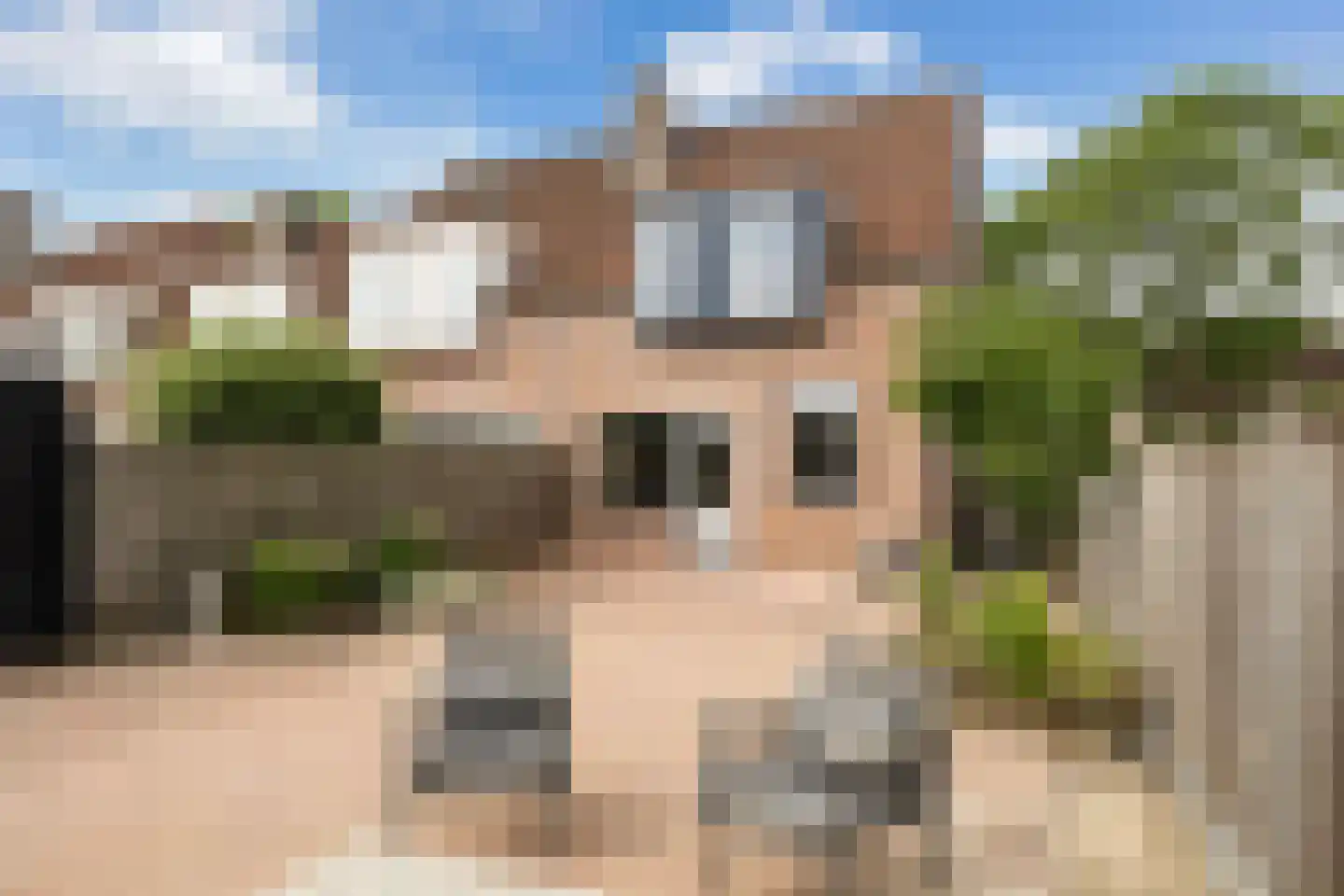 Kingmastate 40 Leeuwarden thumbnail 17
