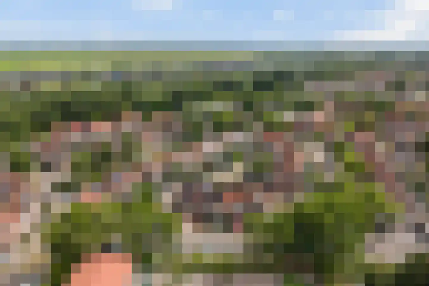Kingmastate 40 Leeuwarden thumbnail 37