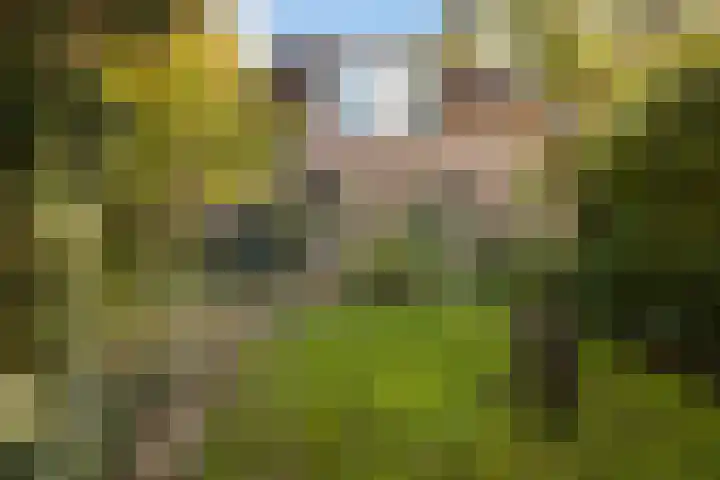 Kingmastate 46 Leeuwarden thumbnail 17